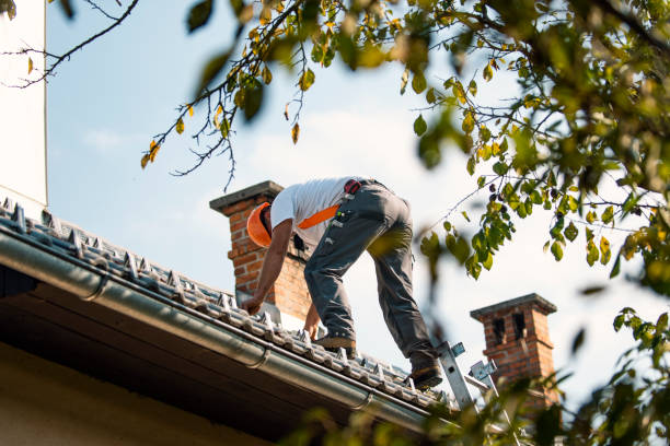 Gutter Installation and Roofing in Appleton, MN