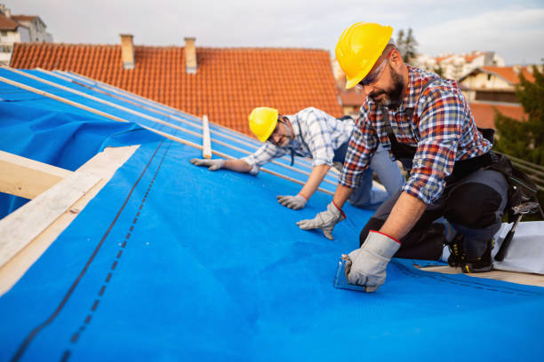 Best Storm Damage Roof Repair  in Appleton, MN