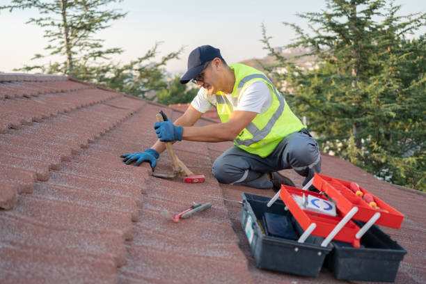 Quick and Trustworthy Emergency Roof Repair Services in Appleton, MN