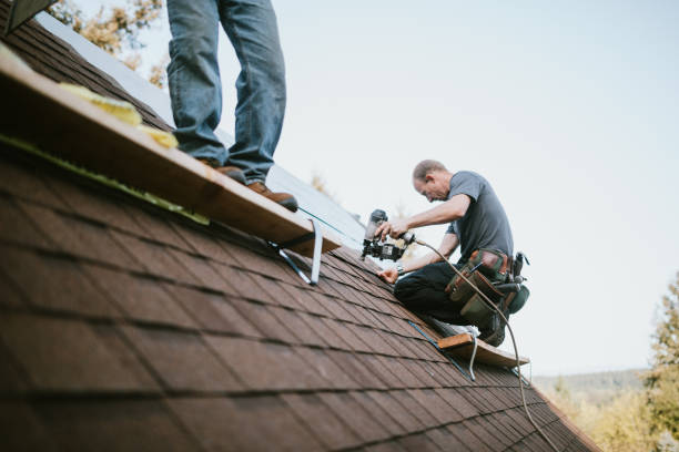 Professional Roofing Contractor in Appleton, MN